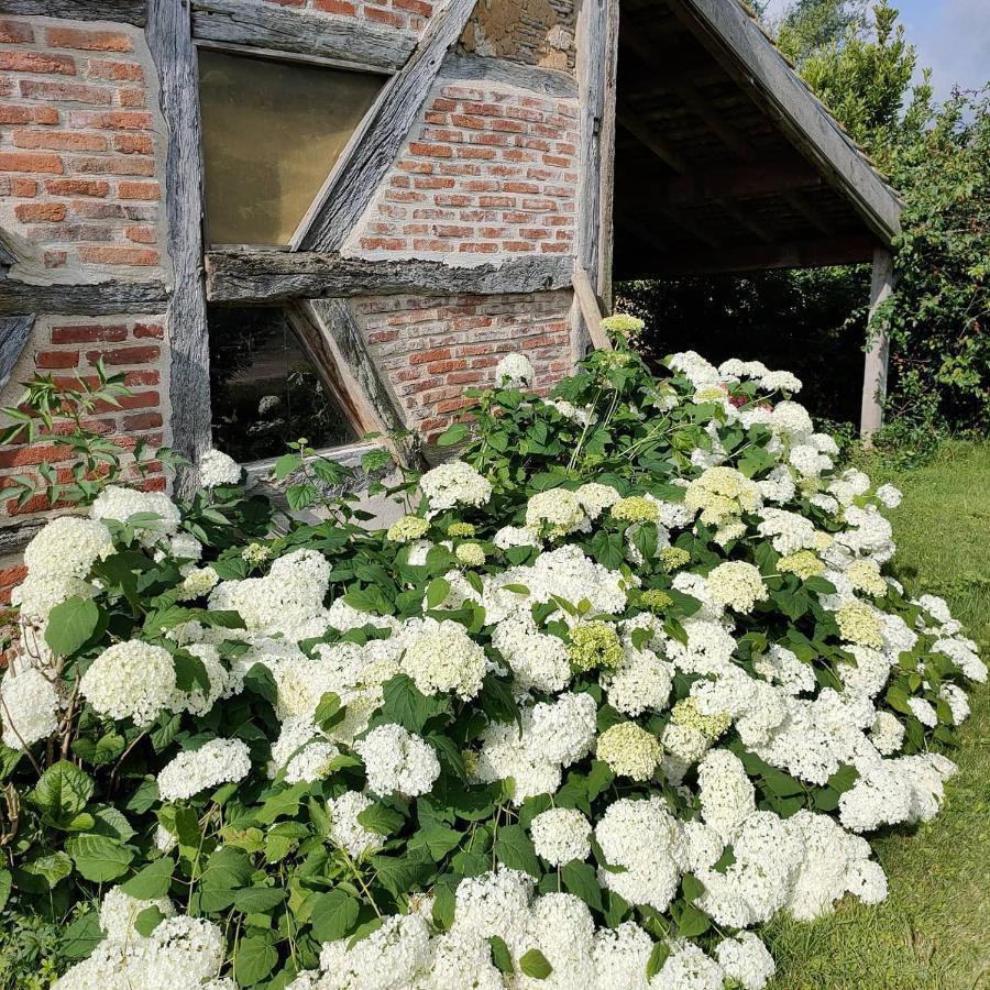La Ferme Du Grand Faubourg Bed & Breakfast Pont-de-Vaux Ngoại thất bức ảnh