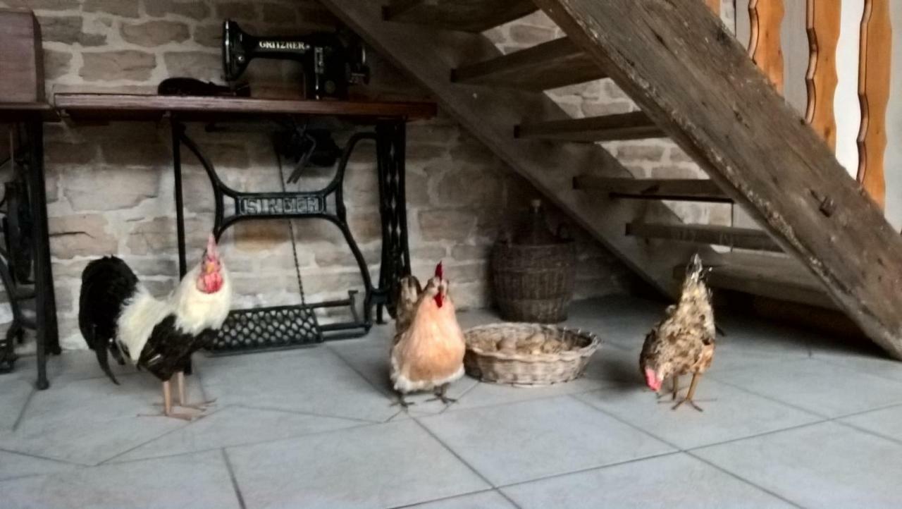 La Ferme Du Grand Faubourg Bed & Breakfast Pont-de-Vaux Ngoại thất bức ảnh
